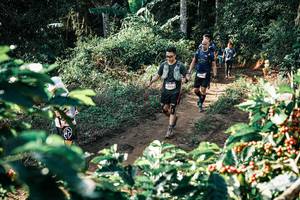 BIB: 
                            <button type="button" onclick="openModal(25854117)" class="btn btn-primary btn-sm float-right btn-popup" data-toggle="modal" data-target=".modal-high-quality">
                        <i class="fas fa-shopping-cart"></i> Add to Cart
                    </button>
                                            <button type="button" onclick="isThisMe(25854117, true)" class="btn btn-success btn-sm float-right btn-popup btn-isme hidden" data-toggle="tooltip" data-placement="bottom" title="นี่คือรูปของคุณใช่ไหม คลิกที่นี่เพื่อเอาเข้าอัลบั้ม">
                        <i class="fas fa-plus"></i> Add to album
                    </button>
                    <button type="button" onclick="isThisMe(25854117, false)" class="btn btn-warning btn-sm float-right btn-popup btn-isnotme hidden">
                        <i class="fas fa-ban"></i> Remove from album
                    </button>